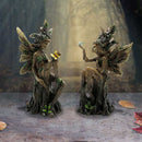 Woodland Beauty Tree Fairy Set of 2 Figurines 15.5cm 7