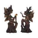 Woodland Beauty Tree Fairy Figurines set of 2 15.5cm