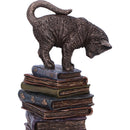 Feline Scholars Bronze Cat Ornament 18cm 5