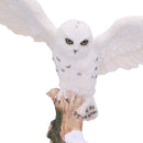 Snowfall Majestic Owl In Winter Scene 18cm 5