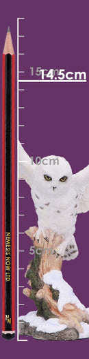 Snowfall Majestic Owl In Winter Scene 18cm 8