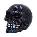 Electro Small Pack of 6 Decorative Resin Skulls 6cm 3
