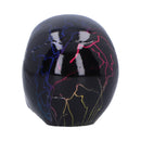 Electro Small Pack of 6 Decorative Resin Skulls 6cm 4