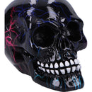 Electro Small Pack of 6 Decorative Resin Skulls 6cm 5