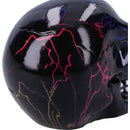 Electro Small Pack of 6 Decorative Resin Skulls 6cm 6