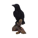 Ravens Perch 20cm Resin Bird Statue 2
