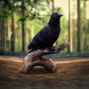 Ravens Perch 20cm Resin Bird Statue 7