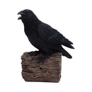 Ravens Cry with Motion Activated Sound Resin Statue 18cm 1