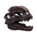 Dilophosaurus Skull Resin Replica 16cm 1
