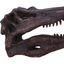 Spinosaurus Skull Replica Fossilized Dinosaur Sculpture 16cm 5