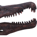 Spinosaurus Skull Replica Fossilized Dinosaur Sculpture 16cm 6
