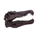Spinosaurus Skull Replica Fossilized Dinosaur Sculpture 16cm 1