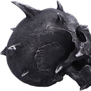 Iron Fang Spike Skull Resin Statue 16.5cm 6