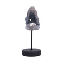 Tyrannosaurus Rex Skull on Plinth 24.2cm 2
