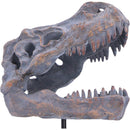 Tyrannosaurus Rex Skull on Plinth 24.2cm 5