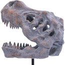 Tyrannosaurus Rex Skull on Plinth 24.2cm 6