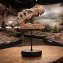 Tyrannosaurus Rex Skull on Plinth 24.2cm 7