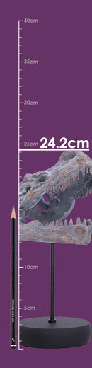 Tyrannosaurus Rex Skull on Plinth 24.2cm 8