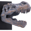 Tyrannossaurus Rex Skull Bookends 17.1cm 5