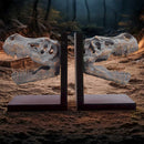 Tyrannossaurus Rex Skull Bookends 17.1cm 7