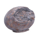Tyrannosaurus Rex Egg Figurine 13.3cm 4