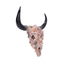 Ocean Crown Sea Shell Bull Skull Ornament 44cm 3