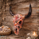Ocean Crown Sea Shell Bull Skull Ornament 44cm 6