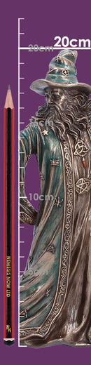 The Sorcerer Bronze Figurine 20cm 8