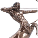 Bronze Centaur Figurine 36.6cm 6
