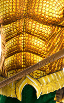 Aquaman Deluxe Boys Costume Gold Green 2 rub-641365M MAD Fancy Dress