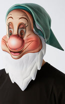 Disney Bashful Dwarf Mask Snow White_3 