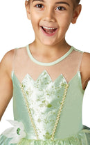 Dream Princess Tiana Costume_2 rub-620668M