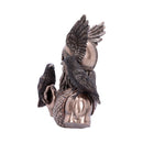 Bronze Odins Messengers Norse God Bust 23cm 2