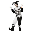 Harlequin Male Mens Costume_1 AC954X
