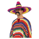 Large Sombrero Adult Multi_2 