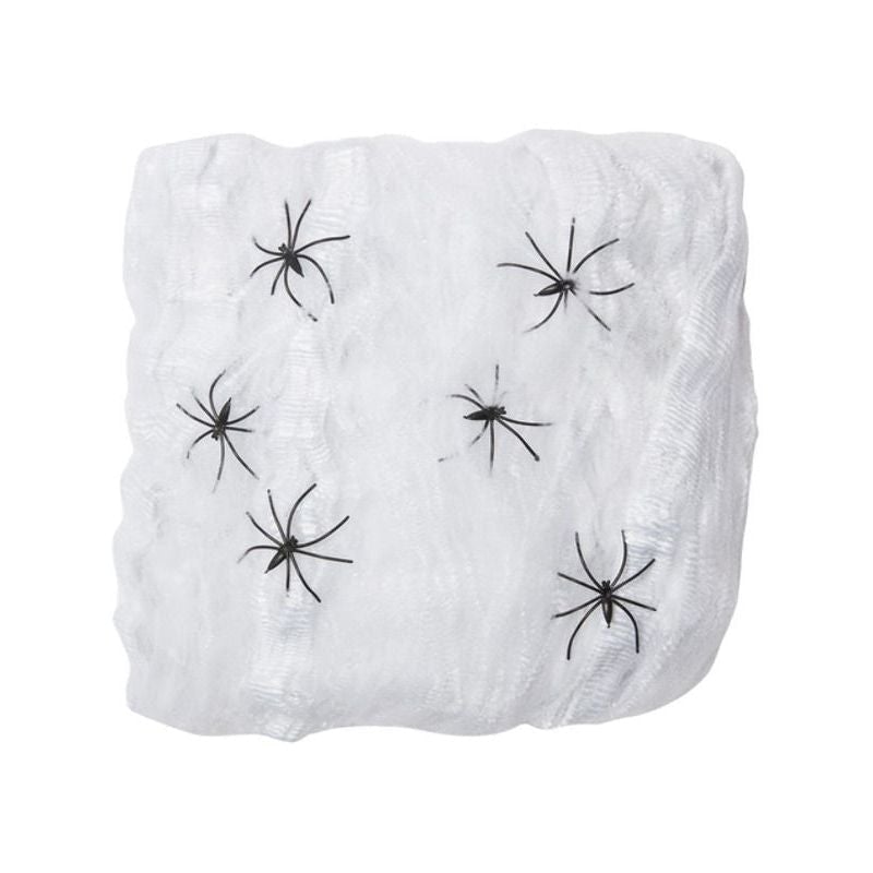 Large Spider Web Decoration_1 sm-40394