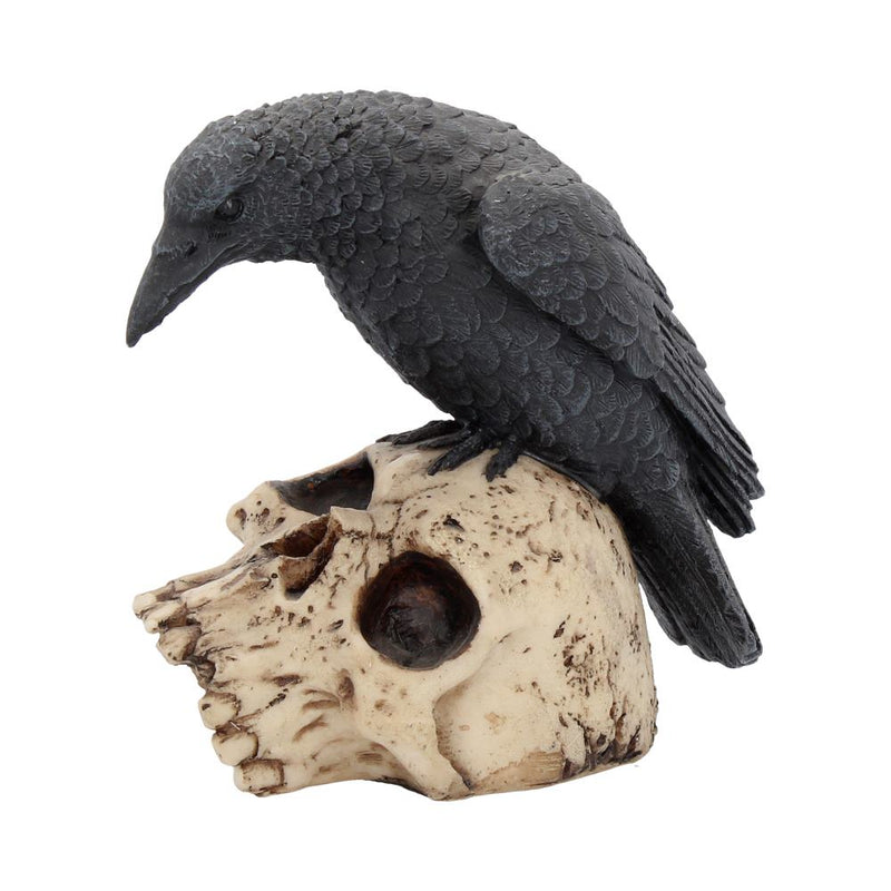Raven Remains Figurine Crow Skull Gothic Ornament