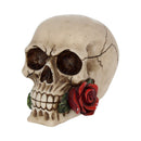 Rose From the Dead Skull Ornament 15cm 2