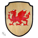 Welsh Wooden Toy Shield 34cm
