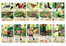 Forest Shuffle Woodland Edge Card Game Expansion