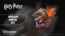 Harry Potter Hungarian Horntail Bust 32.5cm 11