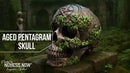 Aged Pentagram Skull 18.8cm 10