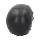 Black Rose from the Dead Skull 15cm 5