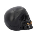 Black Rose from the Dead Skull 15cm 6