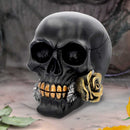 Black Rose from the Dead Skull 15cm 7