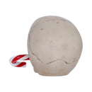 Frostbite Candy Cane LED Skull Figurine 12cm 3
