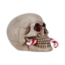 Frostbite Candy Cane LED Skull Figurine 12cm 4