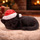 Merry Whiskers Sleeping Black Cat in Santa Hat 9.5cm 7