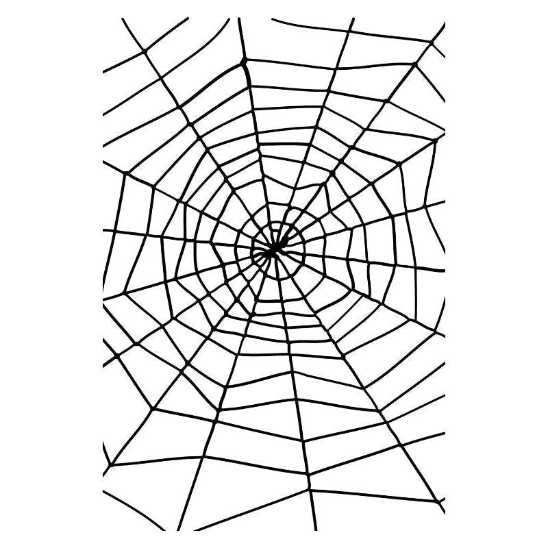 Spider & Spiders Web Adult Black_2 