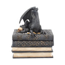 Secrets of the Dragon Box Gothic Skull Books Trinket 19cm 2